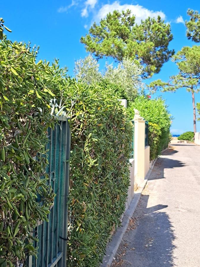 Mini Villa Jardin 50 M Plage Borgo  Exterior photo