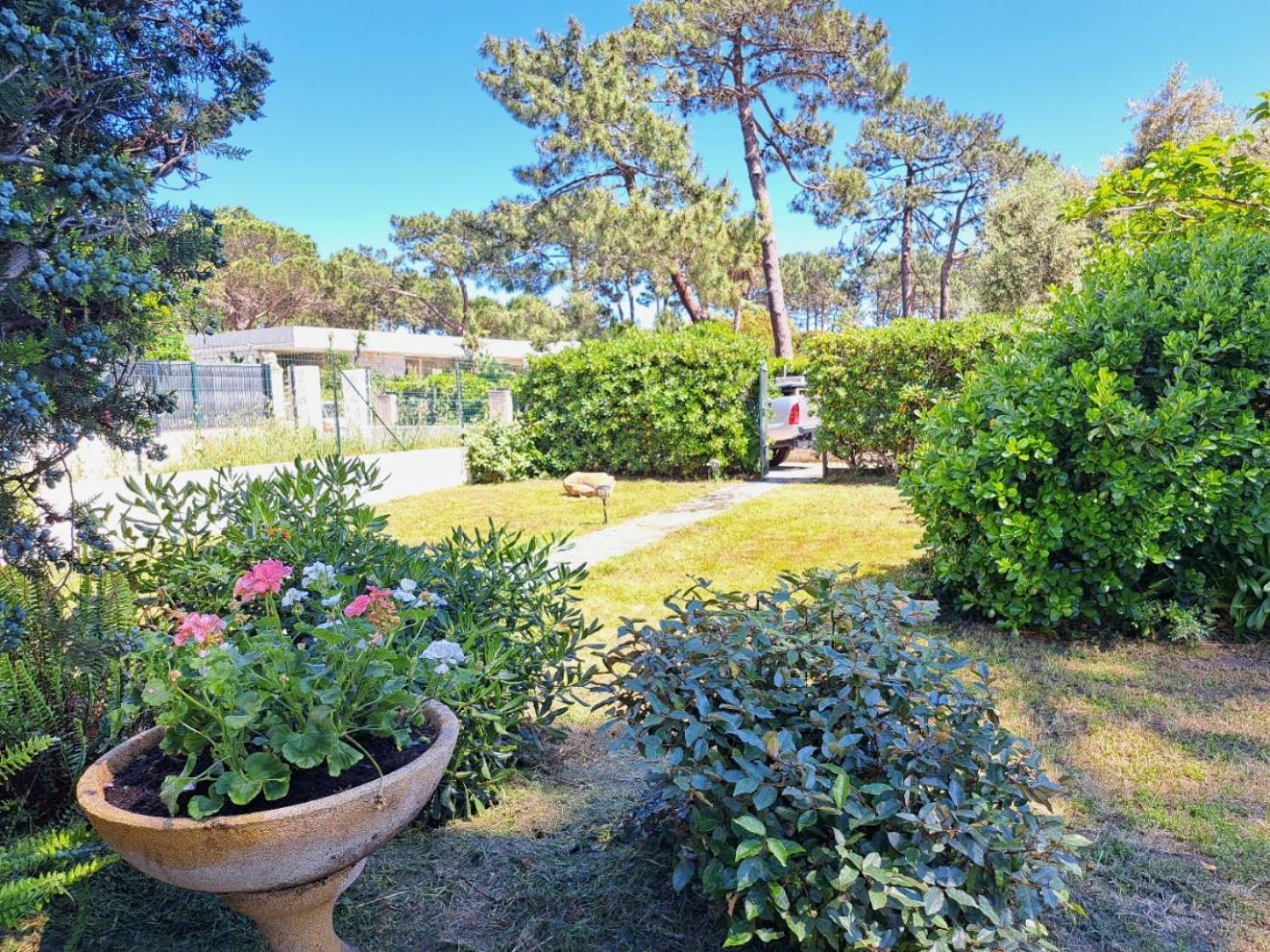 Mini Villa Jardin 50 M Plage Borgo  Exterior photo